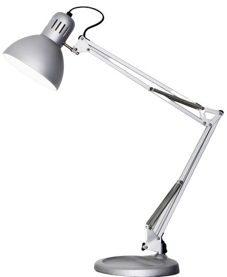 Lamp and plant